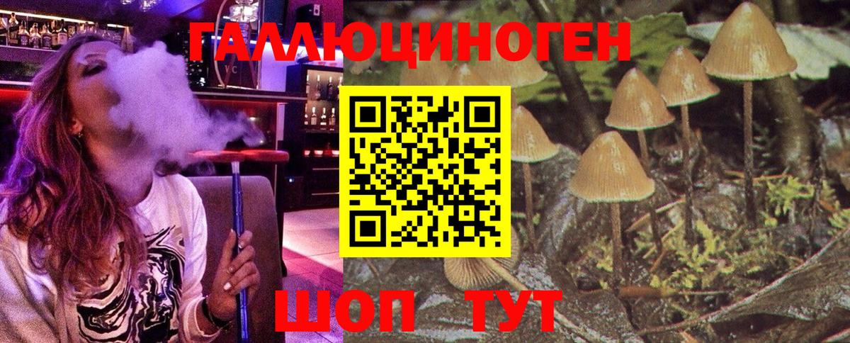 Псилоцибиновые грибы GOLDEN TEACHER Клин